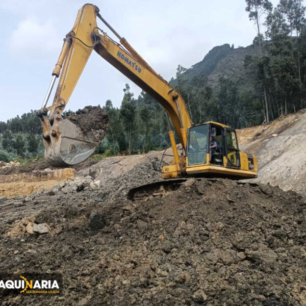 Maquinaria Pesada Usada KOMATSU PC 220 (9)
