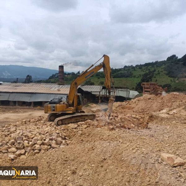 Maquinaria Pesada Usada KOMATSU PC 220 (13)